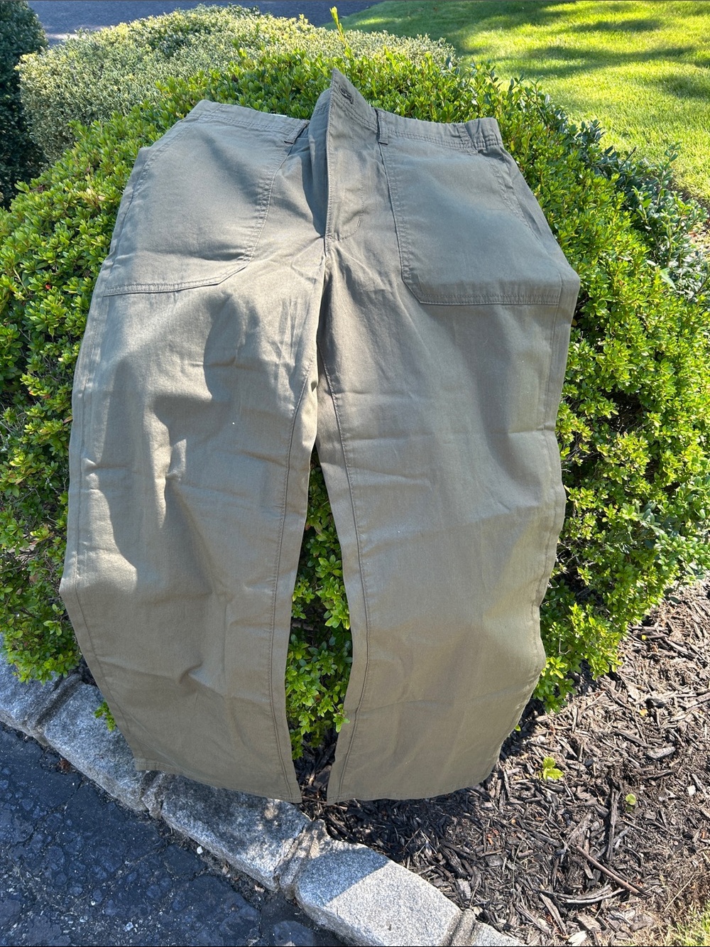Banana Republic Women's Cargo Pants in Olive Green
